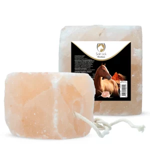 Himalaya zoutsteen