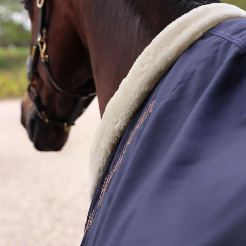 Deluxe stable2