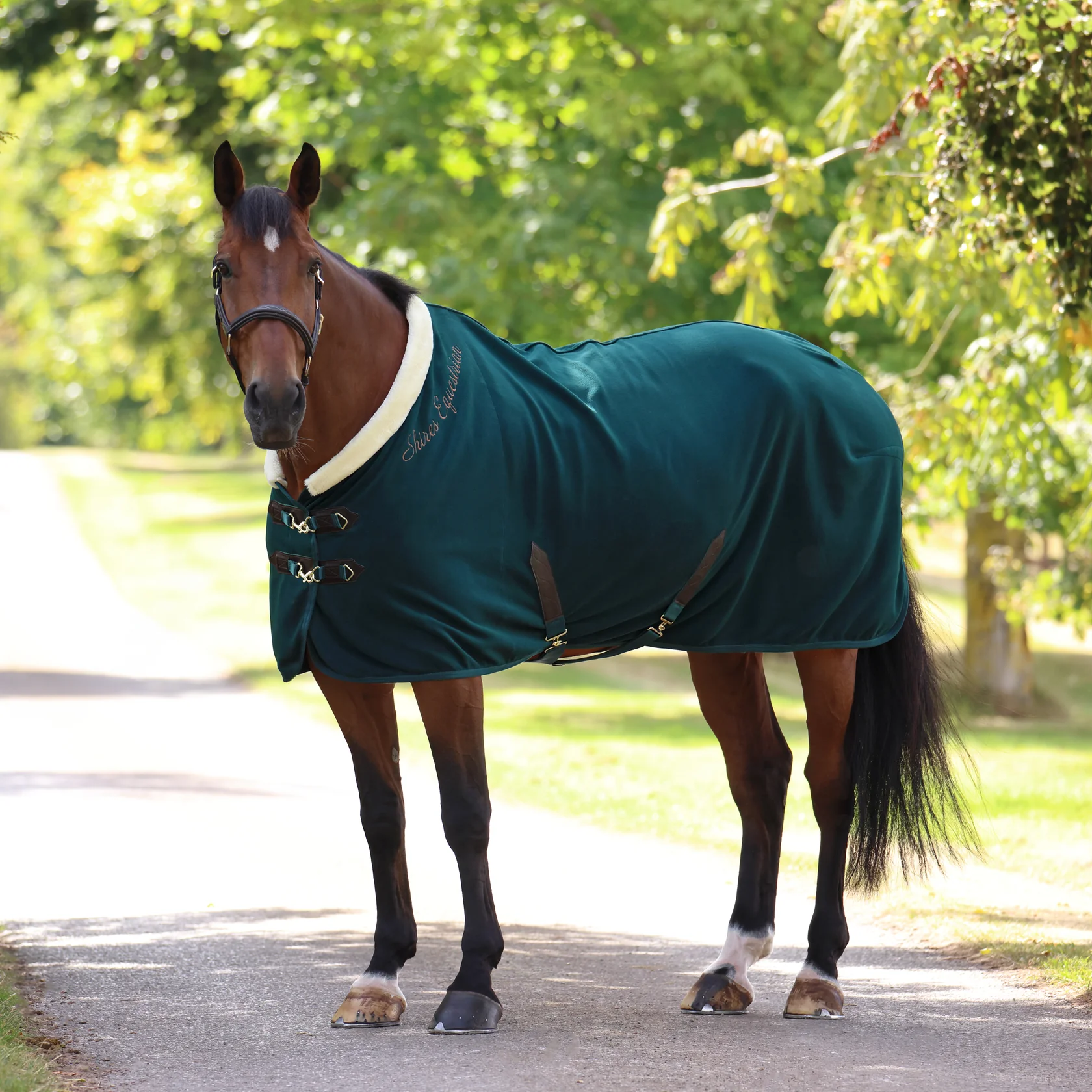 fleece deluxe green