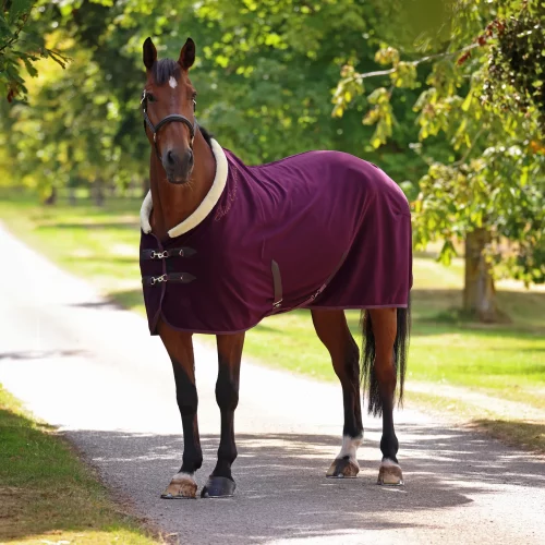 Shires Deluxe fleece