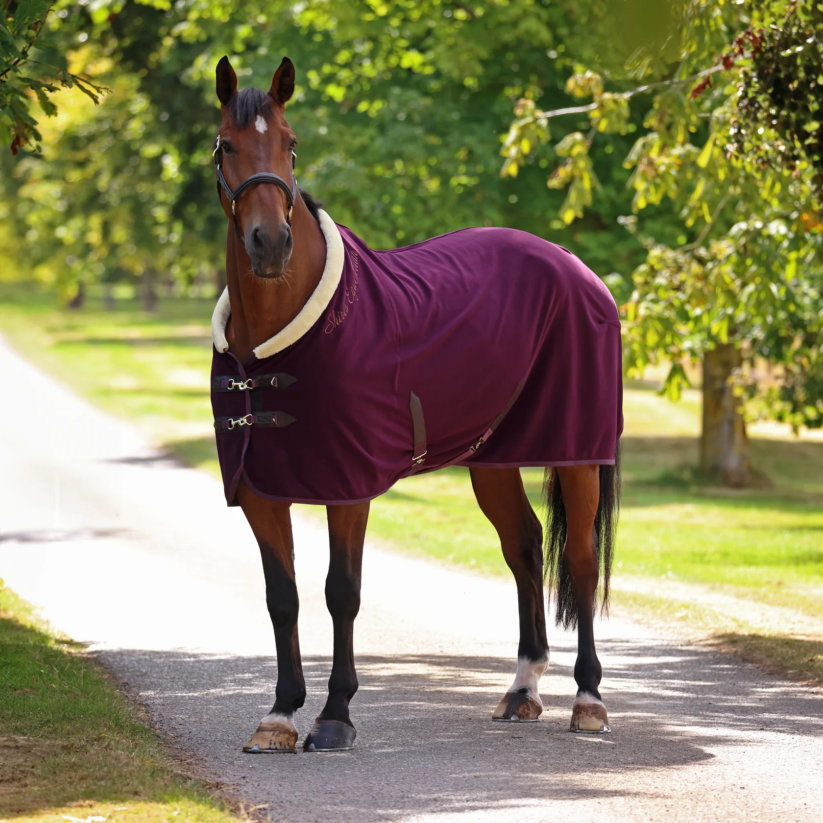 Shires Deluxe fleece