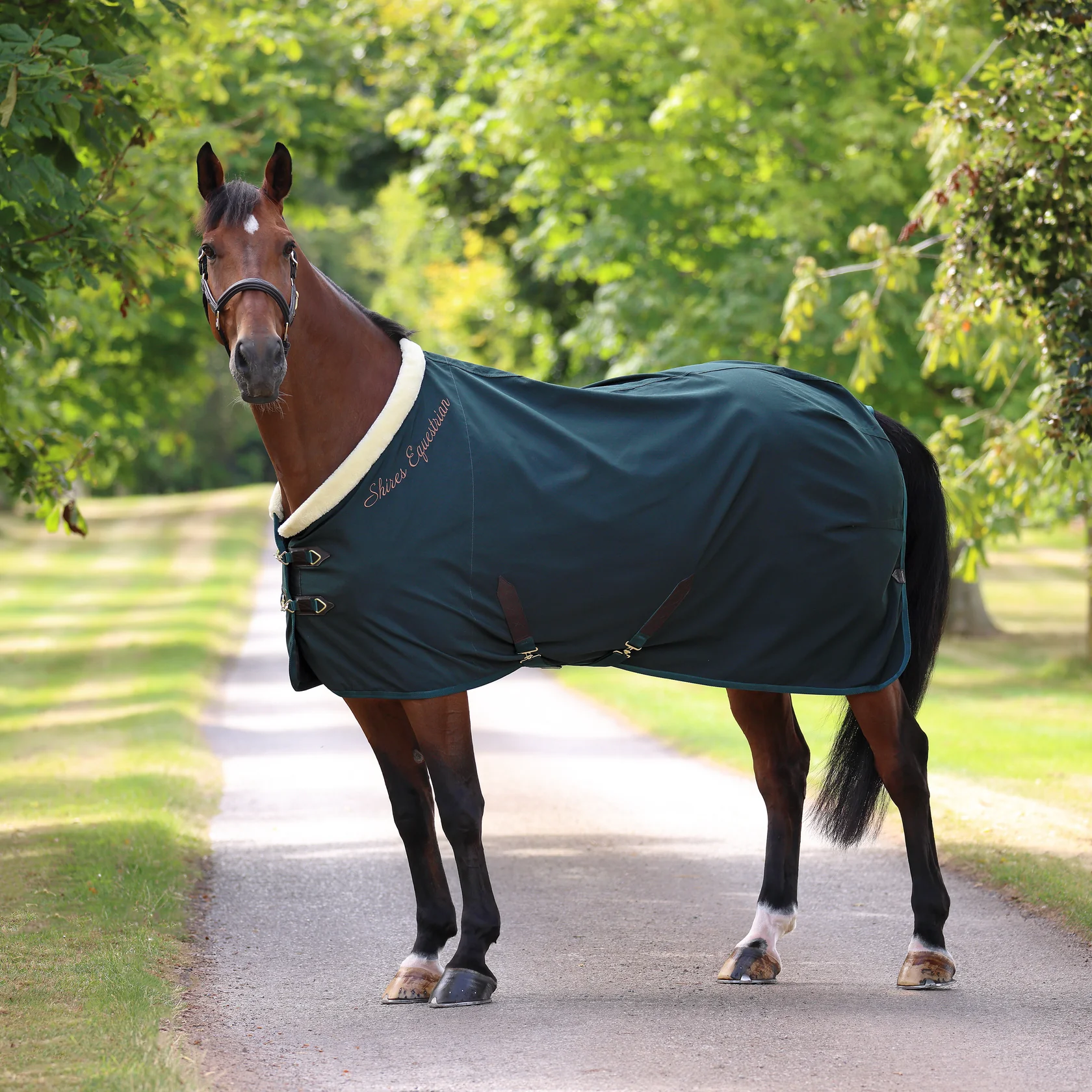 stable sheet deluxe green