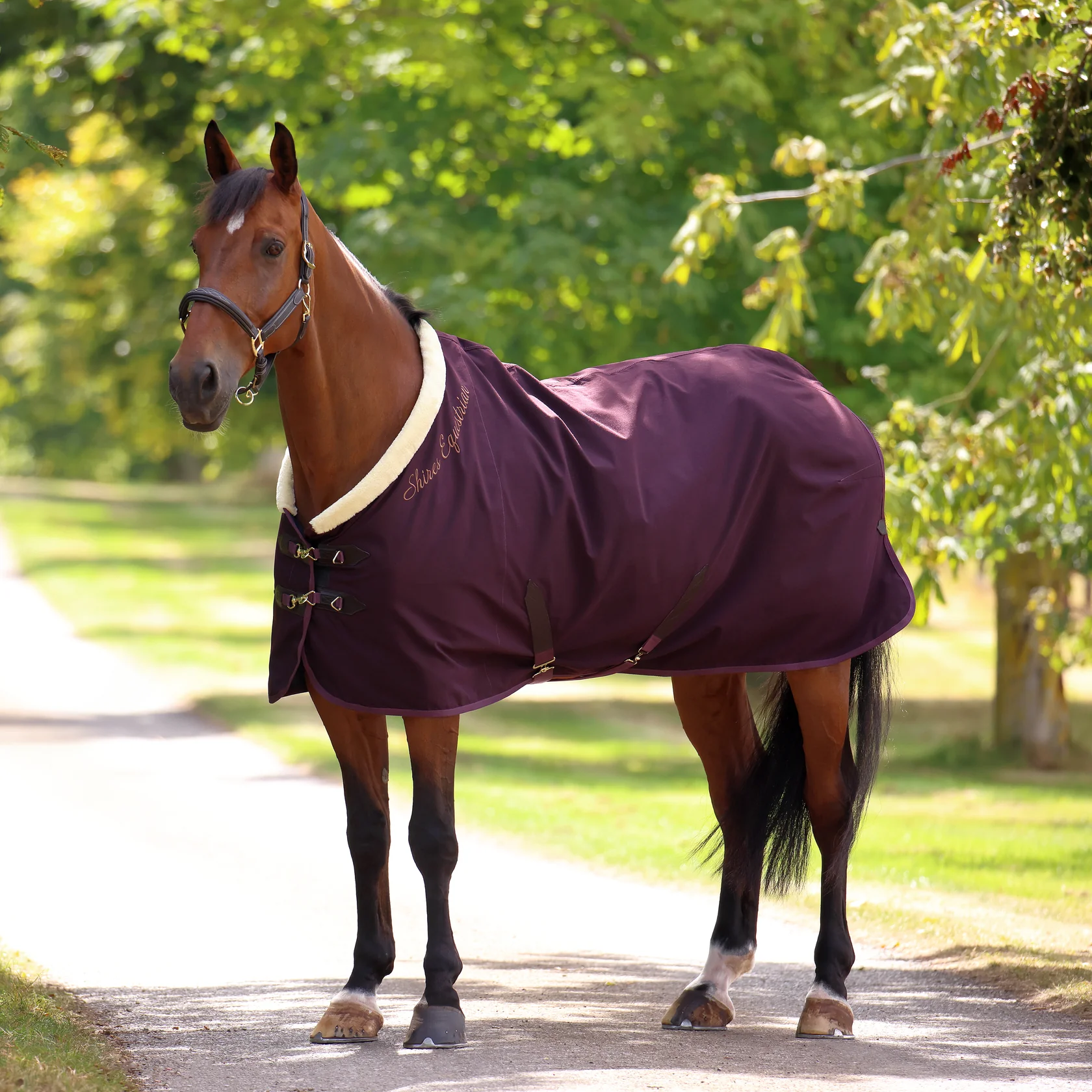 stable sheet deluxe red
