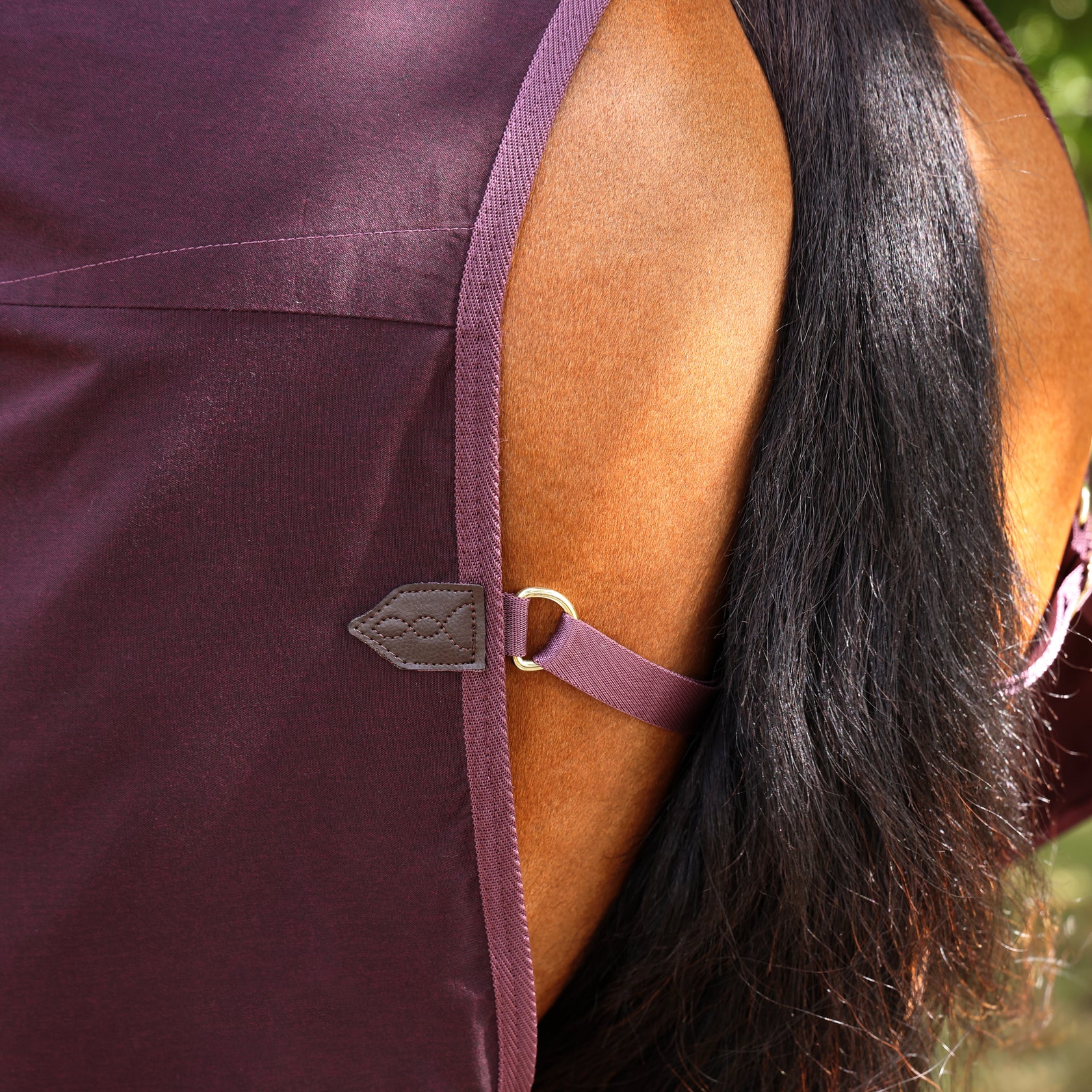 stable sheet deluxe red5