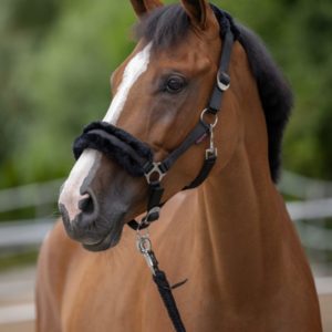 Halster Classic Soft