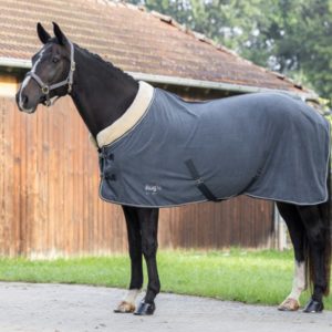 Rug Be fleece Royal
