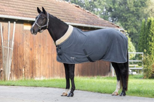 Rug Be fleece Royal