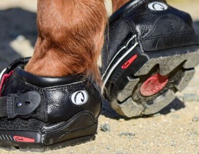 Hoefschoenen Cavallo